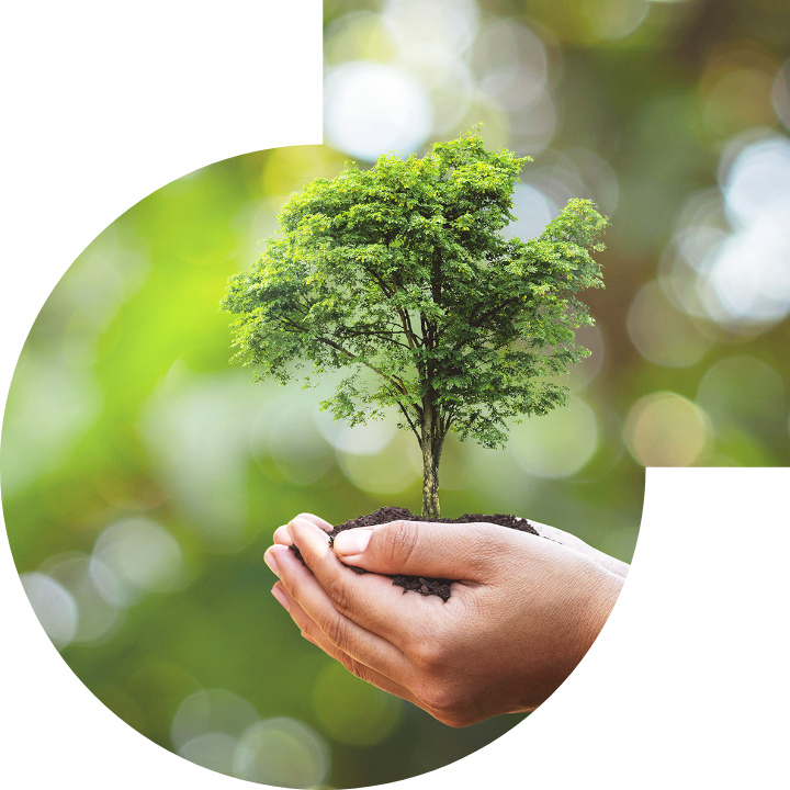 关怀人类、文化、环境与社会